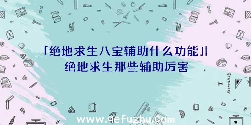 「绝地求生八宝辅助什么功能」|绝地求生那些辅助厉害